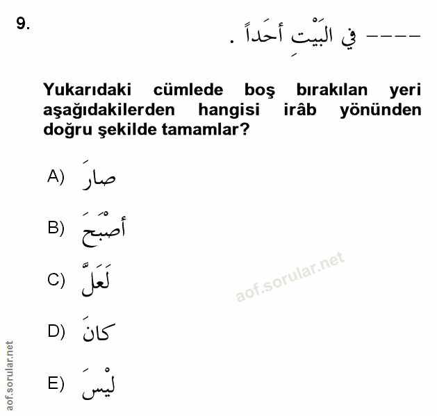 Soru 9