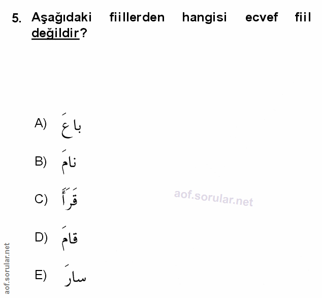 Soru 5