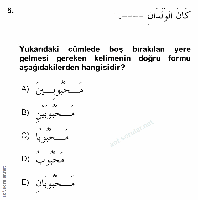 Soru 6