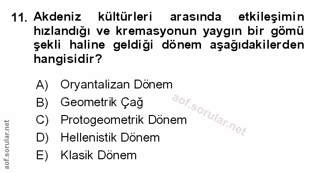 Soru 11