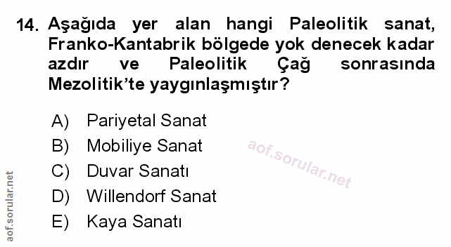 Soru 14