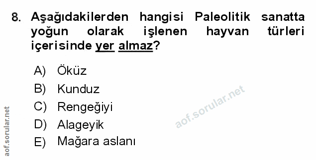 Soru 8