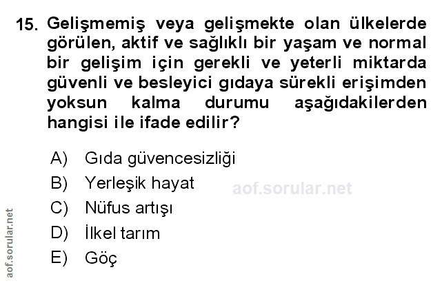 Soru 15