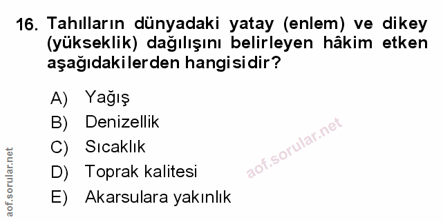 Soru 16
