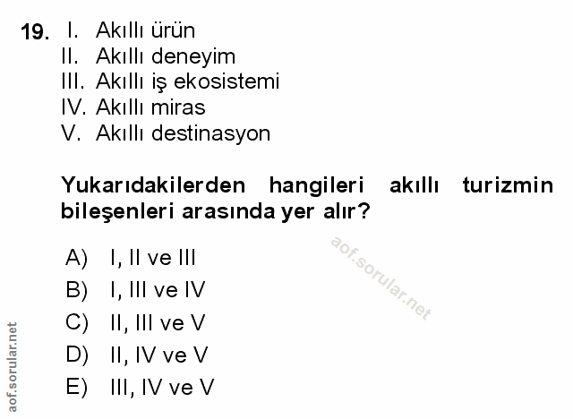Soru 19