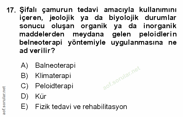 Soru 17