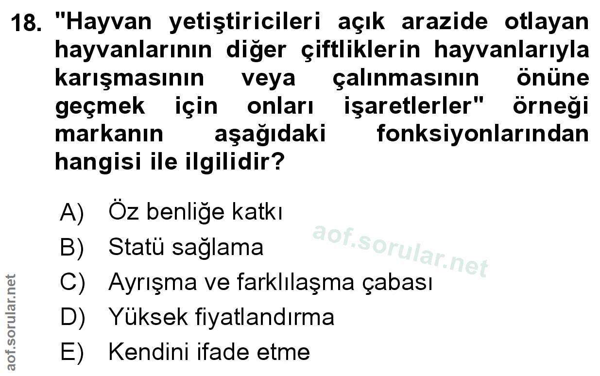 Soru 18