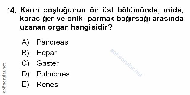Soru 14
