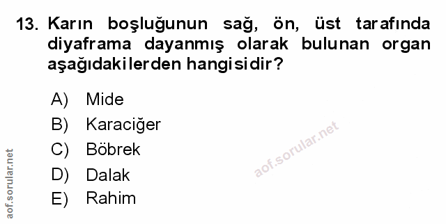 Soru 13