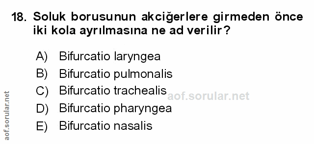Soru 18