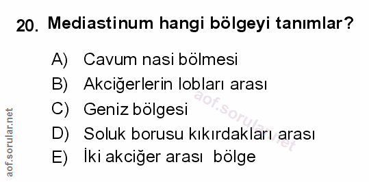 Soru 20