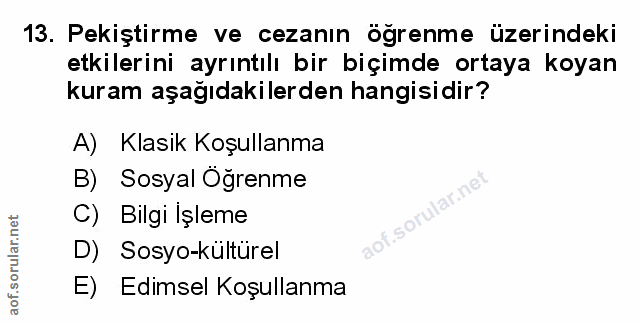 Soru 13