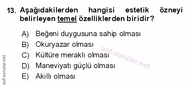 Soru 13