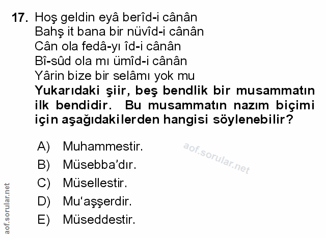 Soru 17