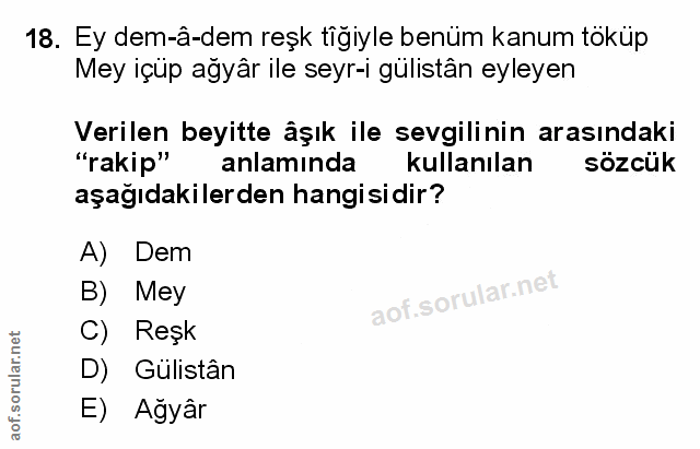 Soru 18