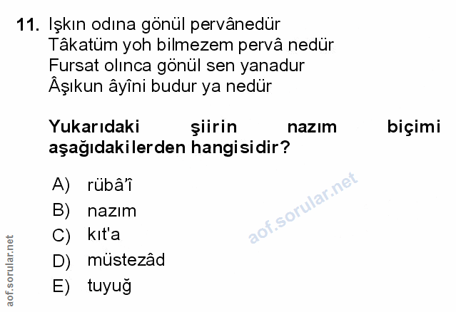 Soru 11