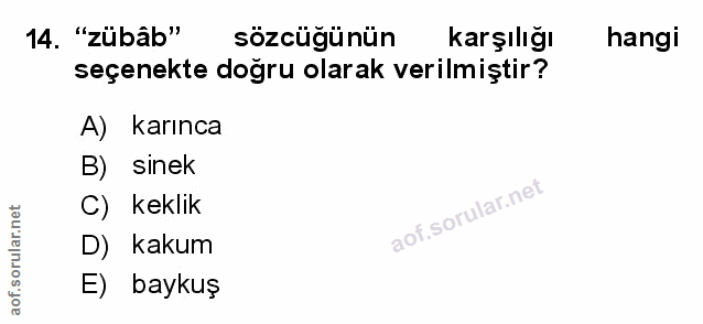 Soru 14