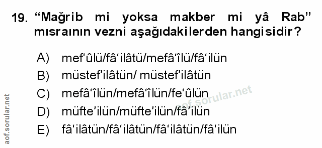 Soru 19