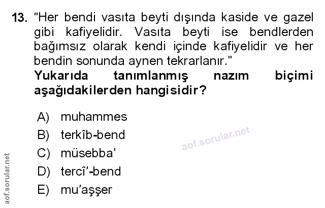 Soru 13