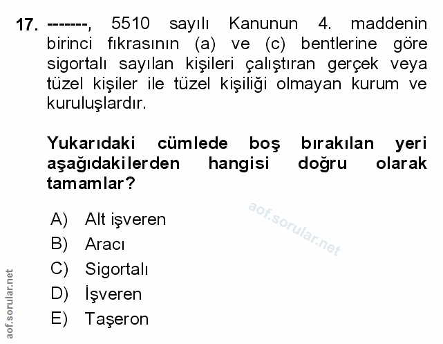 Soru 17