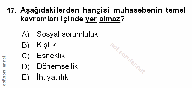 Soru 17