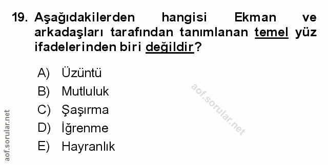 Soru 19