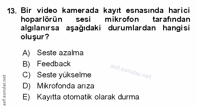 Soru 13