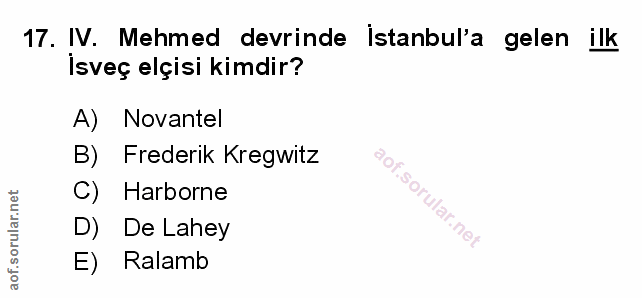 Soru 17