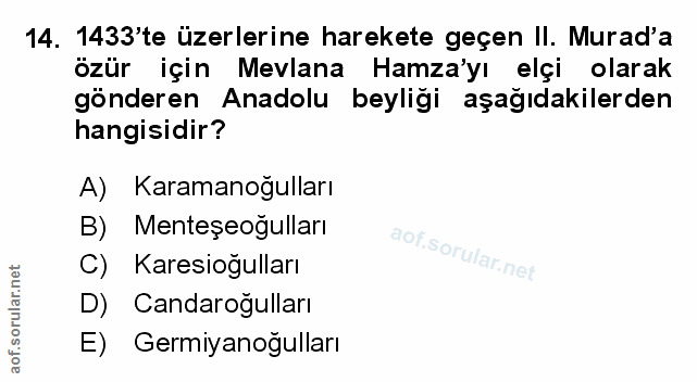 Soru 14