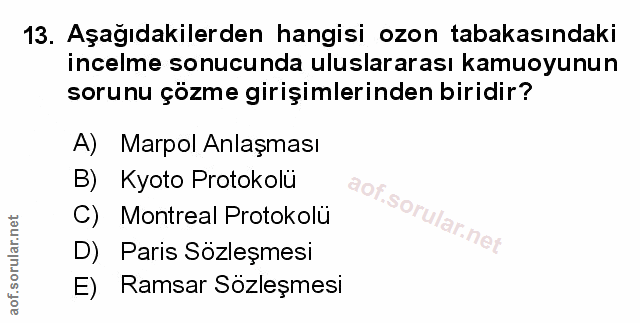 Soru 13