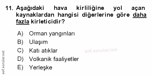 Soru 11