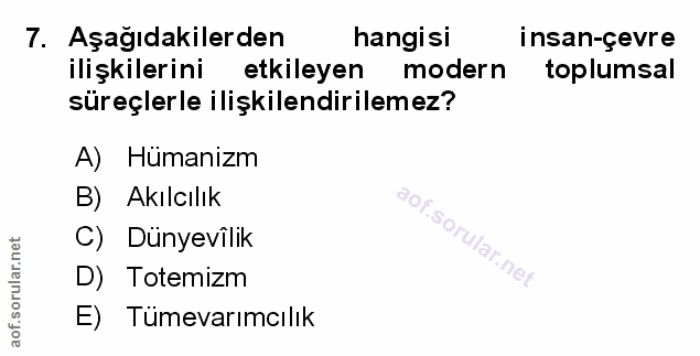 Soru 7