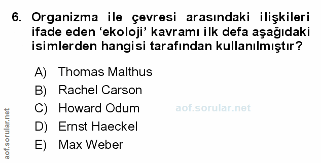 Soru 6