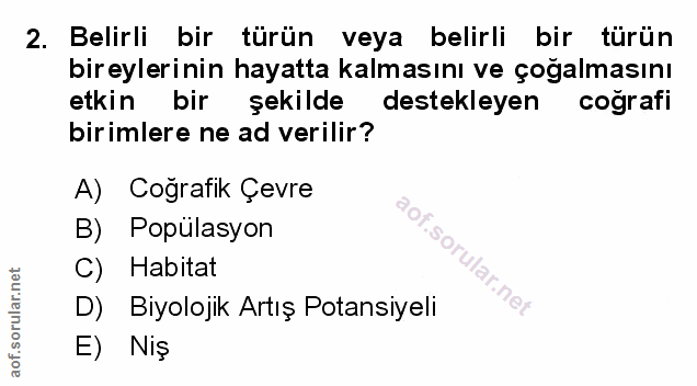Soru 2