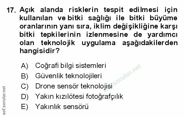 Soru 17