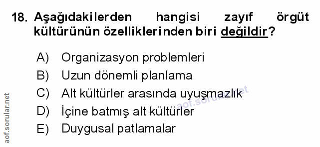 Soru 18