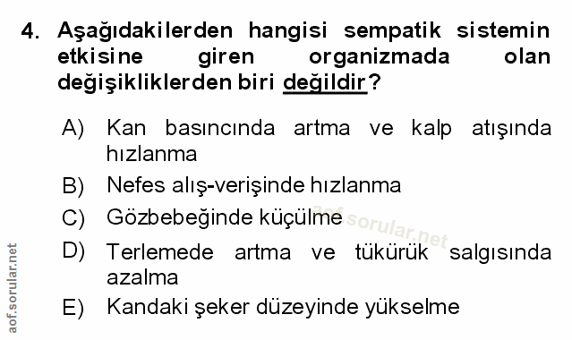 Soru 4