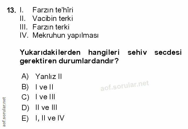 Soru 13
