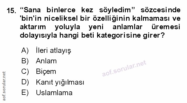 Soru 15