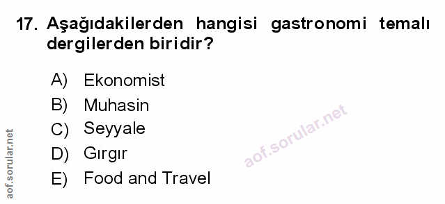 Soru 17