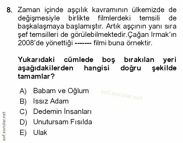 Soru 8