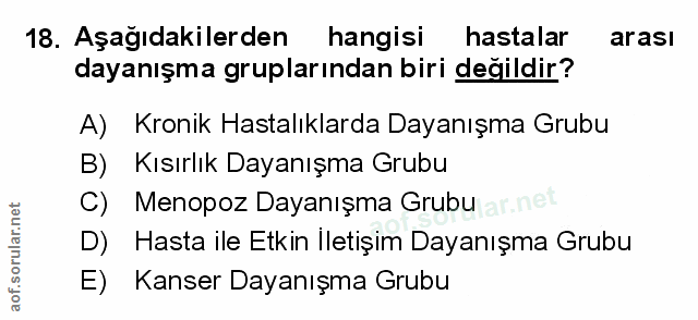 Soru 18