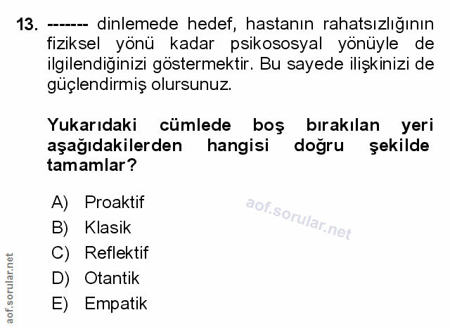Soru 13
