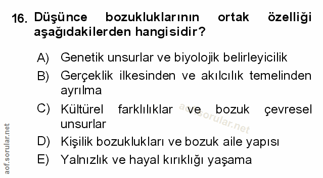 Soru 16