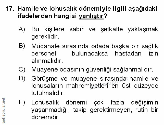 Soru 17