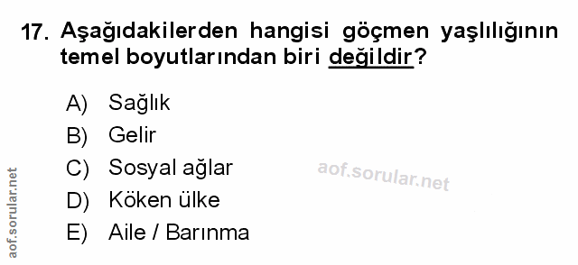 Soru 17