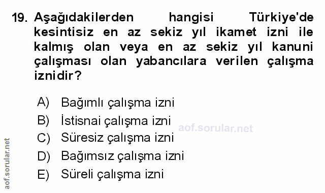Soru 19