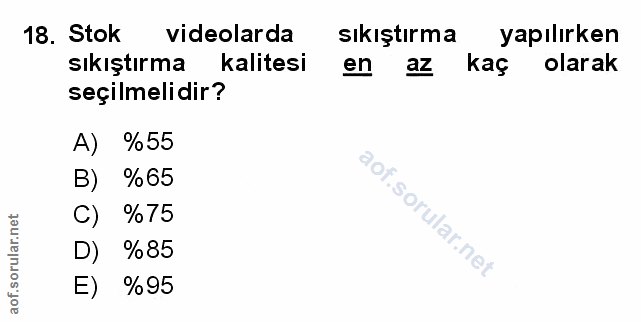 Soru 18