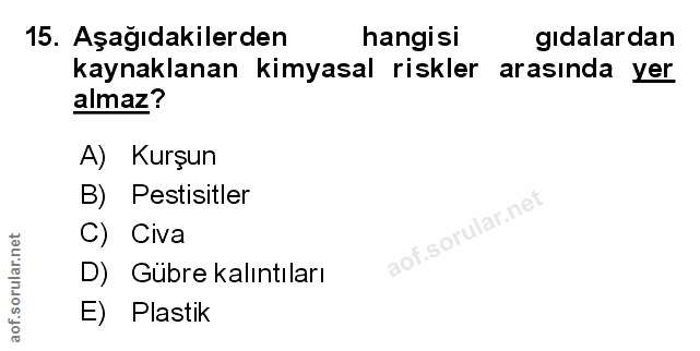 Soru 15