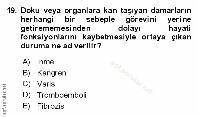 Soru 19
